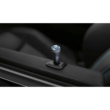 BMW Штирь дверей