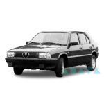 33 (905_)