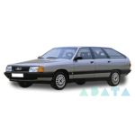 100 C3 Avant (445, 446)