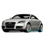TT (FV3, FVP)