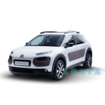 C4 CACTUS Van (0B_, 0P_)