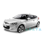VELOSTER (FS)