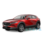 CX-30 (DM)