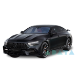 AMG GT (X290)