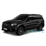 GLS (X166)