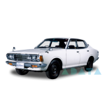 BLUEBIRD (B610) (610)