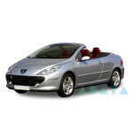307 CC (3B)