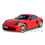 718 CAYMAN (982)