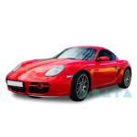 CAYMAN (987)