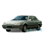 25 (B29_)