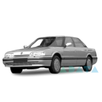 800 (XS)