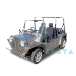 MINI-MOKE