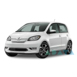 CITIGO (NF1)
