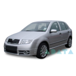 FABIA II (542)