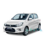 CELERIO (LF)
