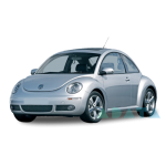 NEW BEETLE (9C1, 1C1)