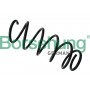 B12558 Borsehung Передня пружина,