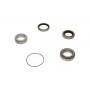 WBK-5509 KAVO PARTS Комплект підшипника ступиці колеса