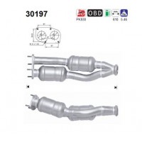 30197 AS Катализатор