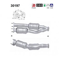 30197 AS Катализатор
