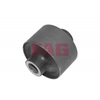 829 0254 10 FAG Підвіска важіль незалежної підвіски колеса