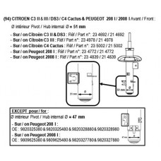 104772 RECORD FRANCE Амортизатор