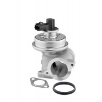 712064D BorgWarner (Wahler) Клапан повернення ОГ