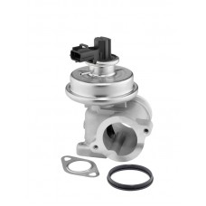 712064D BorgWarner (Wahler) Клапан повернення ОГ