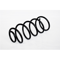 73753 ASAM Пружина ходової частини