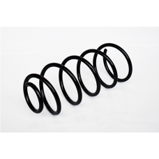 73753 ASAM Пружина ходової частини