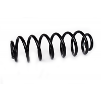 73780 ASAM Пружина ходової частини