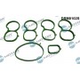 DRM0102S Dr.Motor Automotive Комплект прокладок впускний колектор
