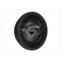 DP030 HUTCHINSON Ремінний шків колінчастий вал