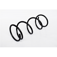 73778 ASAM Пружина ходової частини