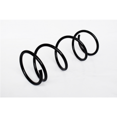 73778 ASAM Пружина ходової частини