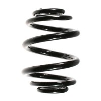 56902 SPIDAN Пружина ходової частини