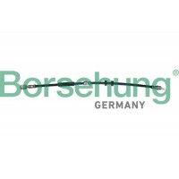 B10947 Borsehung Гальмівний шланг