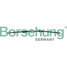 B10947 Borsehung Гальмівний шланг