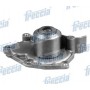 WP0139 FRECCIA Водяний насос охолодження двигуна