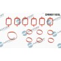 DRM0110SL Dr.Motor Automotive Комплект прокладок впускний колектор