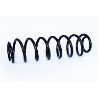 73777 ASAM Пружина ходової частини