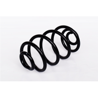 73776 ASAM Пружина ходової частини