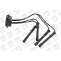 ZS454 BorgWarner (BERU) Котушка запалювання