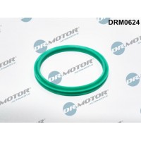 Ущільнювальне кільце, Трубка нагнітається повітря Dr.Motor-Automotive DRM0624