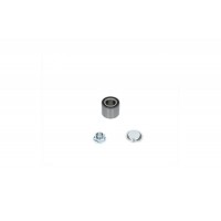 WBK-8537 KAVO PARTS Комплект підшипника ступиці колеса