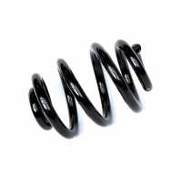 72911 ASAM Пружина ходової частини