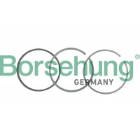 B19052 Borsehung Комплект поршневих кілець