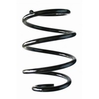 87269 SPIDAN Пружина ходової частини