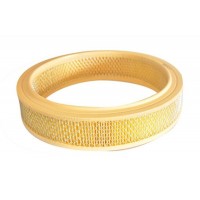 Повітряний фільтр ASAM 70300