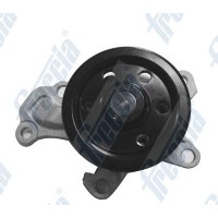 WP0298 FRECCIA Водяний насос охолодження двигуна